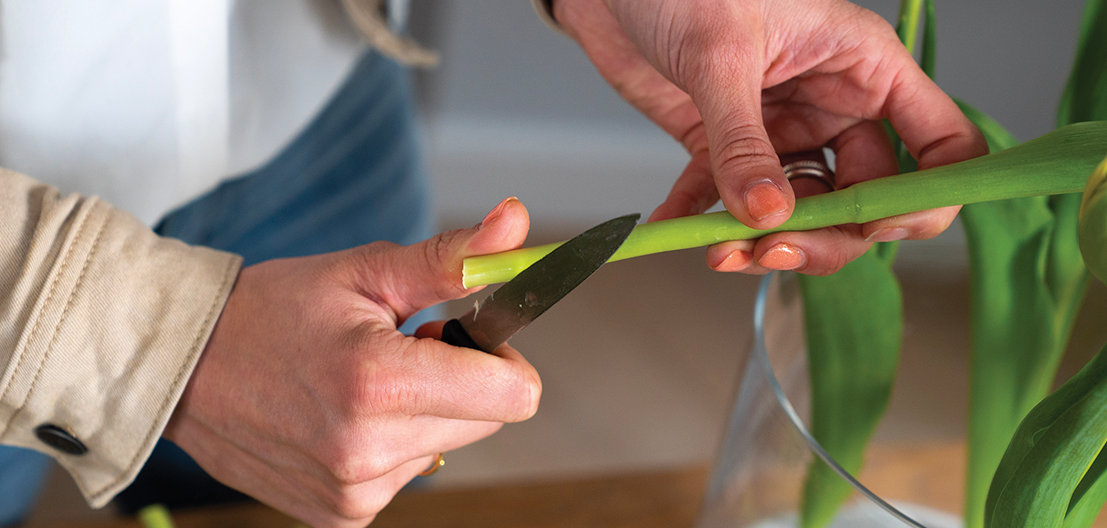 DIY 2 - Fleur je woning op en maak  je vaas op een originele manier op.